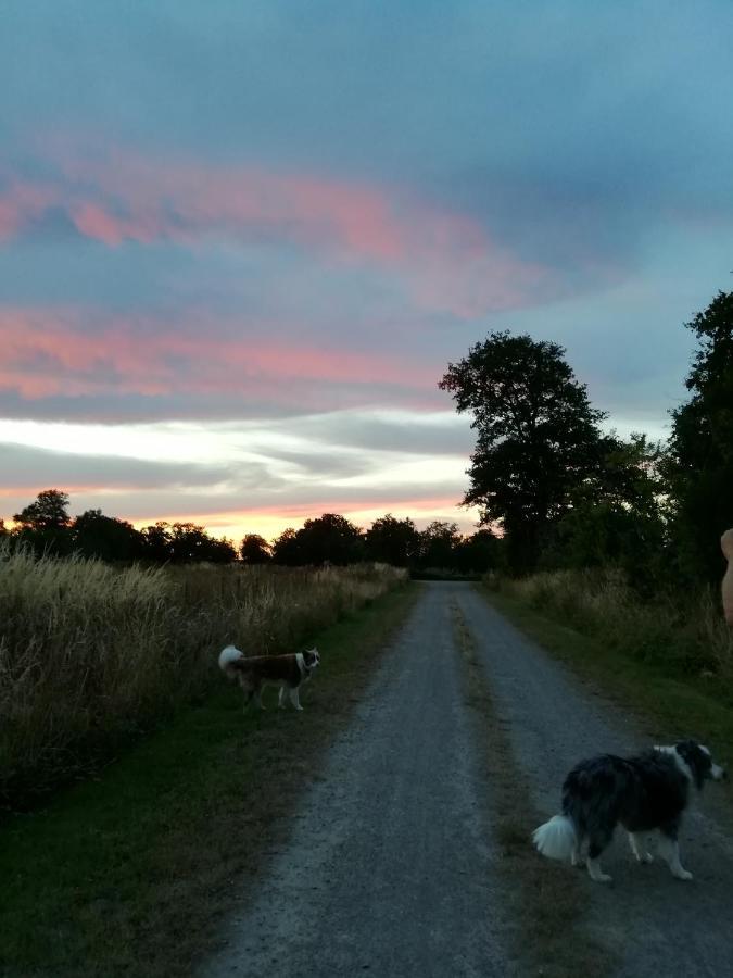 Bed and Breakfast Chez Pastuso Brigueuil-le-Chantre Esterno foto